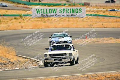 media/Oct-26-2024-Cobra Club (Sat) [[ed594ebad6]]/Passenger/